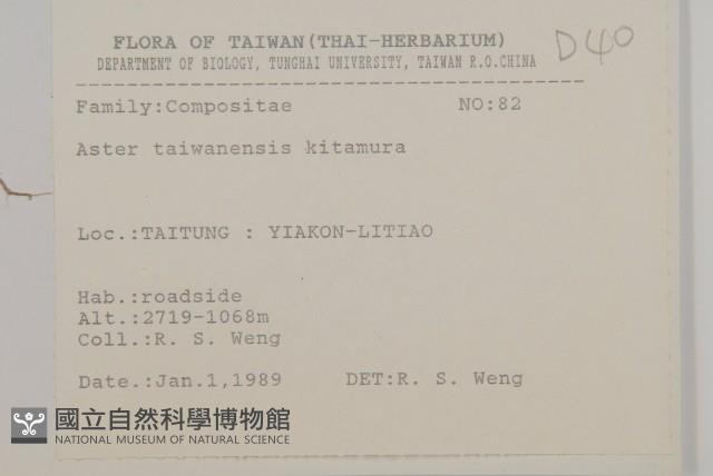 臺灣馬蘭藏品圖，第2張