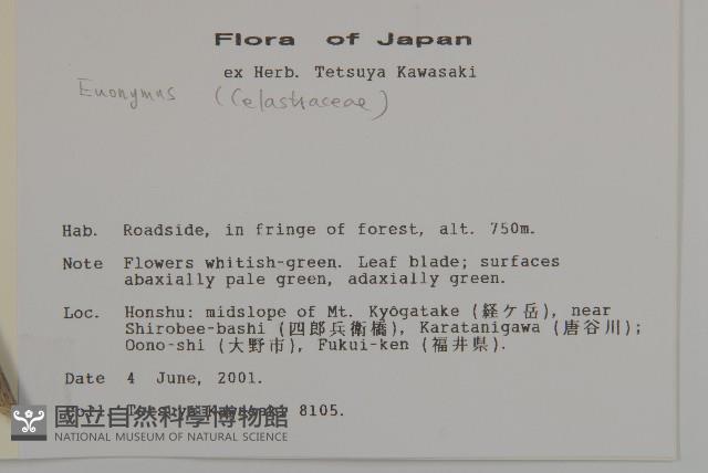 登錄號:S113484藏品圖，第2張