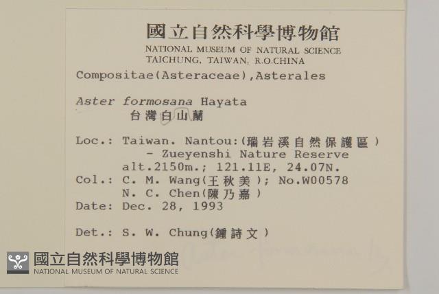 臺灣山白蘭藏品圖，第2張