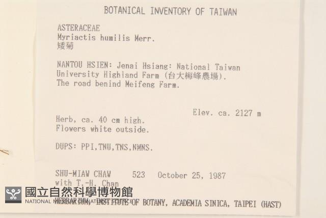 矮菊藏品圖，第2張