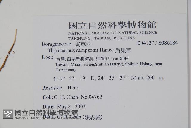 盾果草藏品圖，第2張