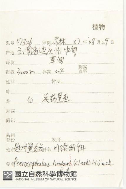 匙葉翼首花藏品圖，第2張