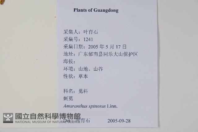 刺莧藏品圖，第2張