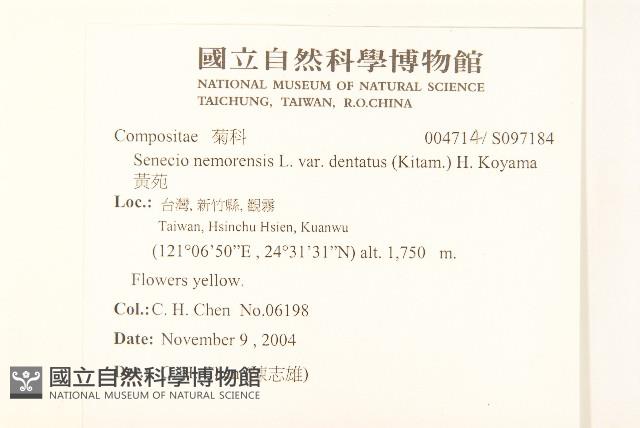 黃菀藏品圖，第2張