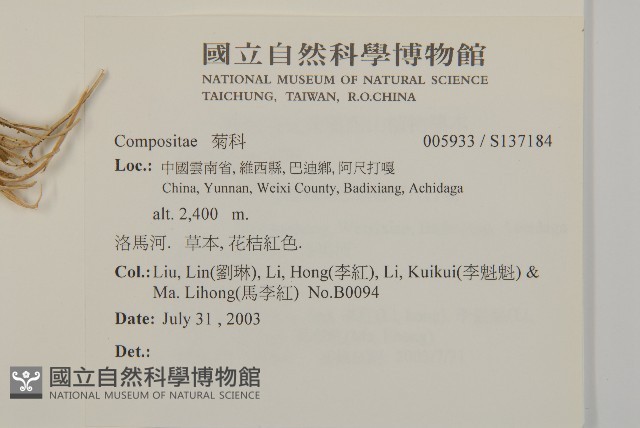 登錄號:S137184藏品圖，第2張