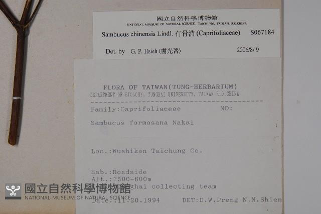 冇骨消藏品圖，第2張