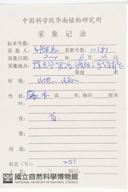 日本菟絲子藏品圖，第2張