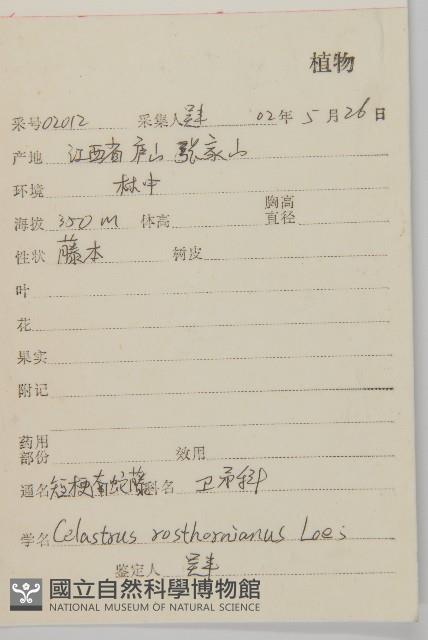 短梗南蛇藤藏品圖，第2張