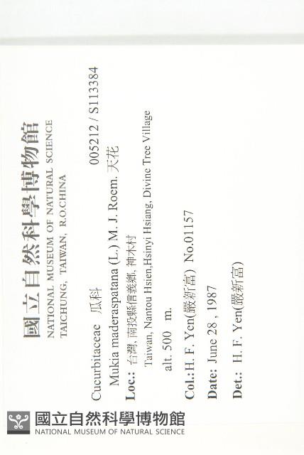 天花藏品圖，第2張