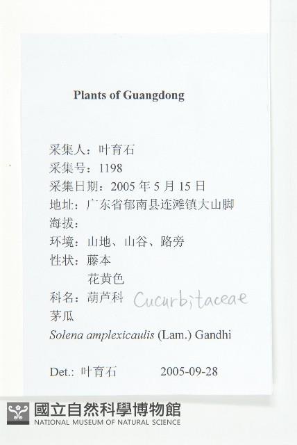 茅瓜藏品圖，第2張