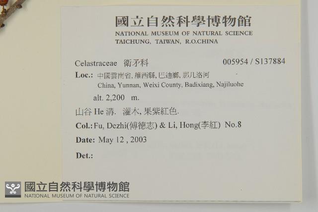 Accession Number:S137884 Collection Image, Figure 2, Total 2 Figures