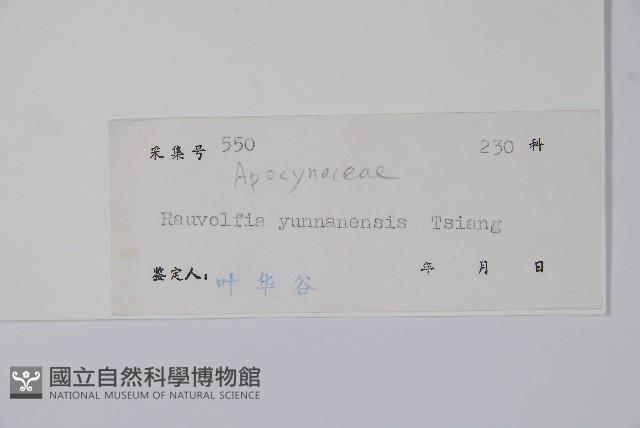 雲南蘿芙木藏品圖，第2張