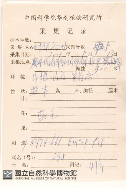 嶺南野菊藏品圖，第2張