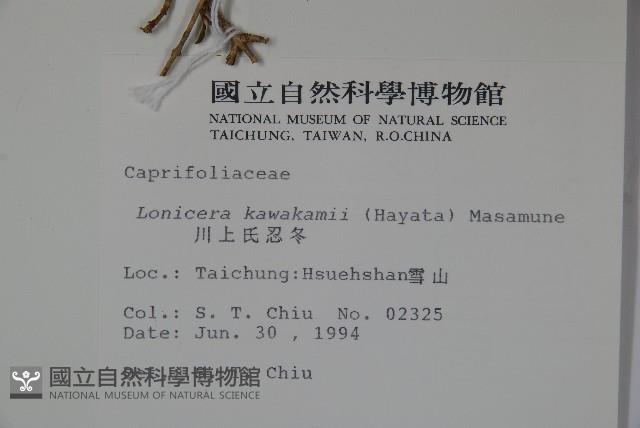 川上氏忍冬藏品圖，第2張