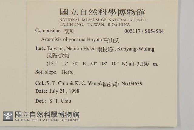 高山艾藏品圖，第2張