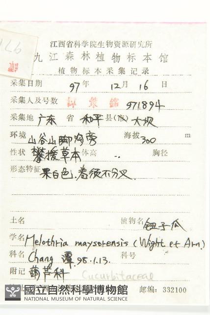 鈕子瓜藏品圖，第2張