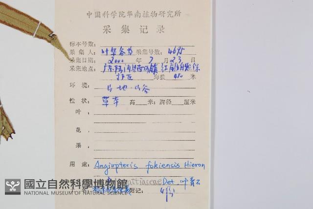 Accession Number:P009009 Collection Image, Figure 2, Total 2 Figures