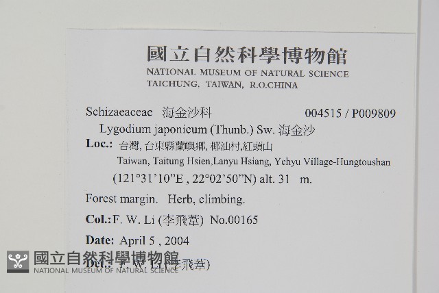 海金沙藏品圖，第2張