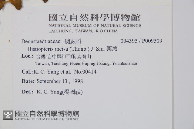 栗蕨藏品圖，第2張