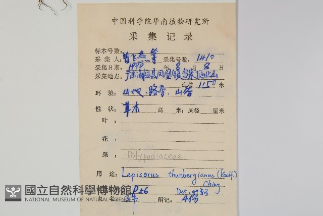 瓦葦藏品圖，第2張