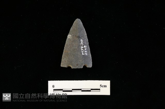 矛鏃形器藏品圖，第2張
