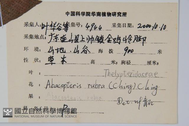 登錄號:P009059藏品圖，第2張