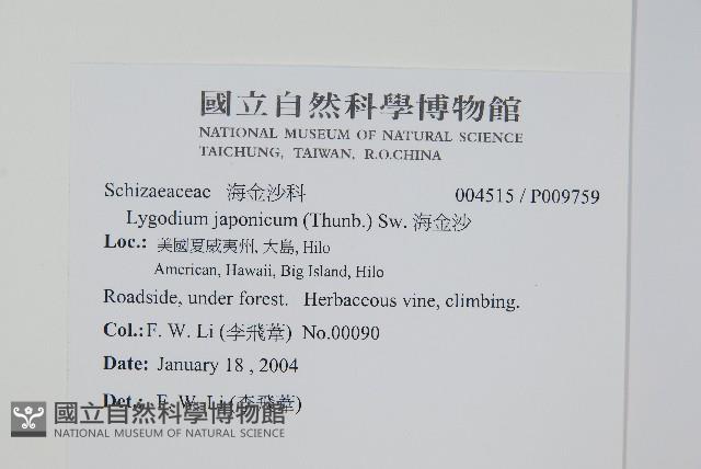 海金沙藏品圖，第2張