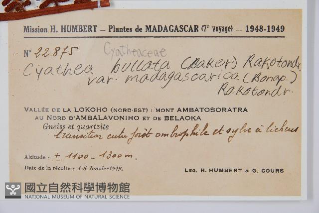 登錄號:P009859藏品圖，第5張