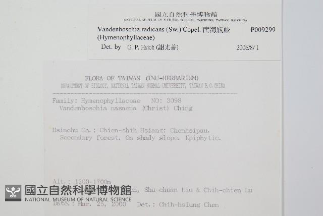 Accession Number:P009299 Collection Image, Figure 2, Total 2 Figures