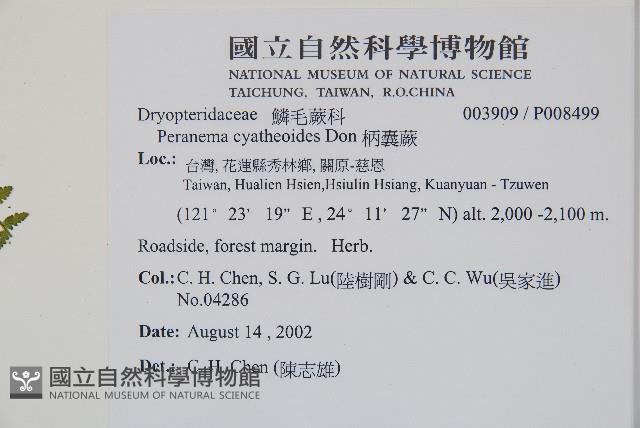 柄囊蕨藏品圖，第2張