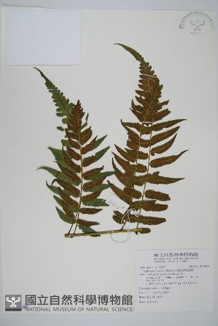 Accession Number:P009899 Collection Image, Figure 1, Total 5 Figures