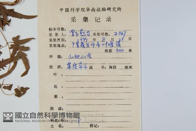 登錄號:P008599藏品圖，第2張