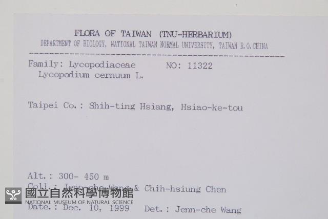 過山龍藏品圖，第2張