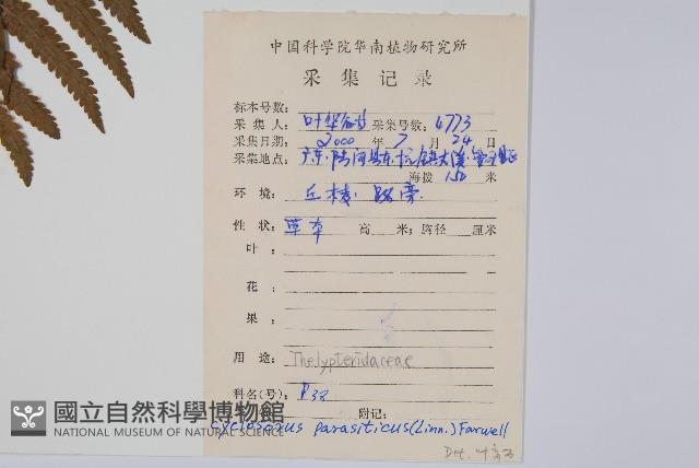 Accession Number:P008969 Collection Image, Figure 2, Total 2 Figures