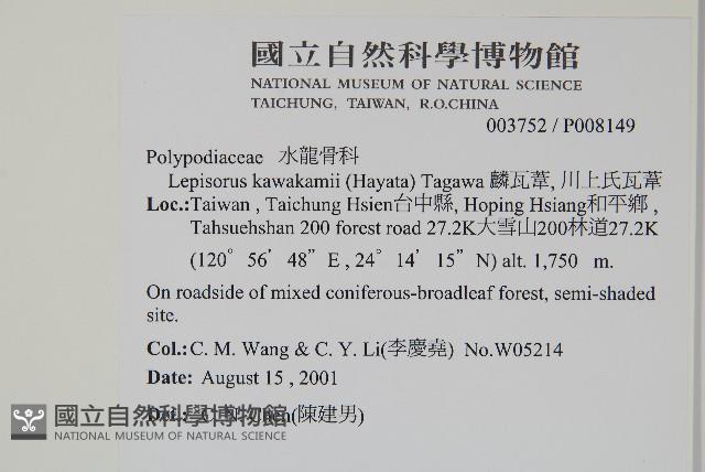 麟瓦葦、川上氏瓦葦藏品圖，第2張