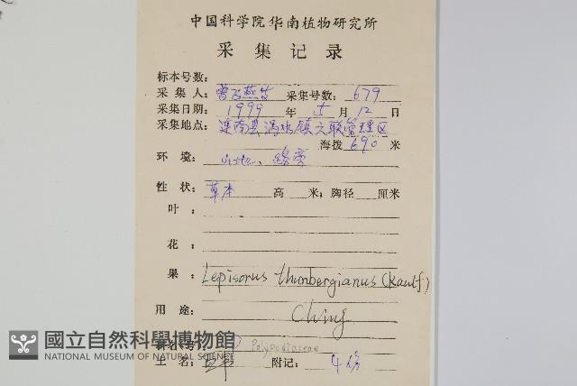 瓦葦藏品圖，第2張