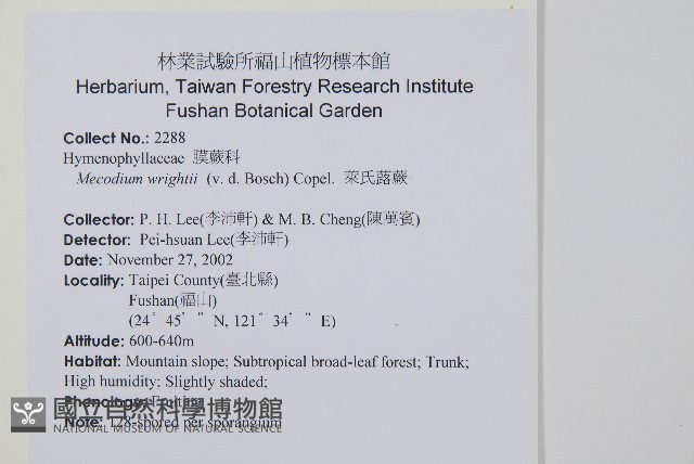 萊氏蕗蕨藏品圖，第2張