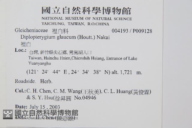 裡白藏品圖，第2張