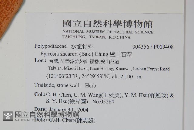 盧山石葦藏品圖，第2張