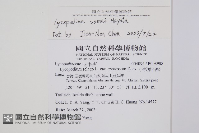 相馬氏石松藏品圖，第2張
