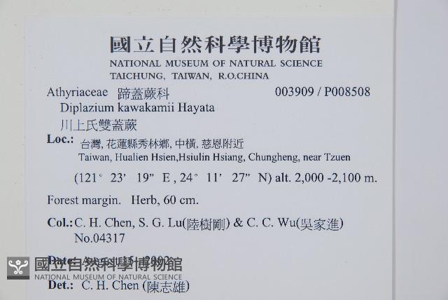 川上氏雙蓋蕨藏品圖，第5張