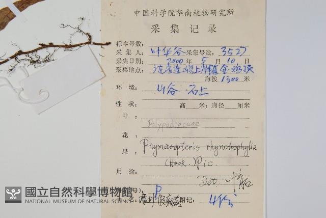 岡本氏茀蕨藏品圖，第2張