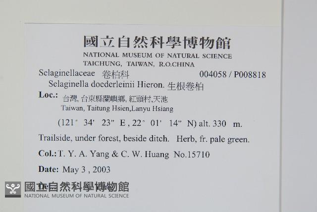 登錄號:P008818藏品圖，第2張