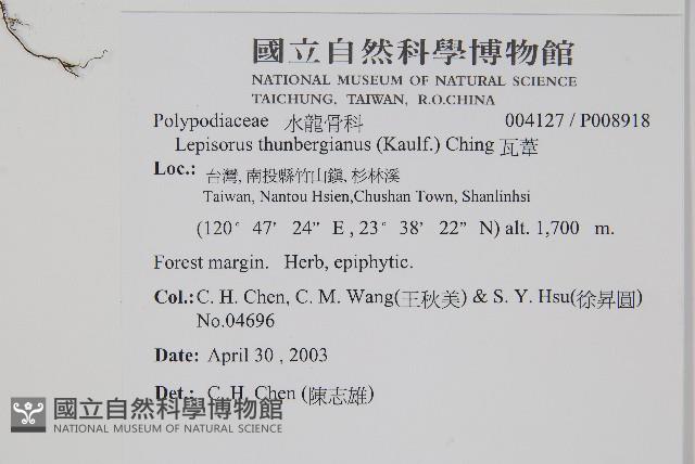 瓦葦藏品圖，第1張