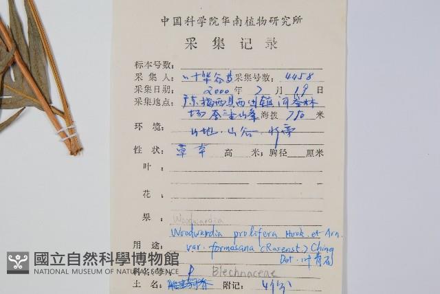 登錄號:P009058藏品圖，第2張