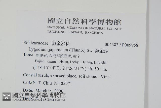 海金沙藏品圖，第2張