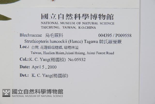 Accession Number:P009558 Collection Image, Figure 2, Total 5 Figures