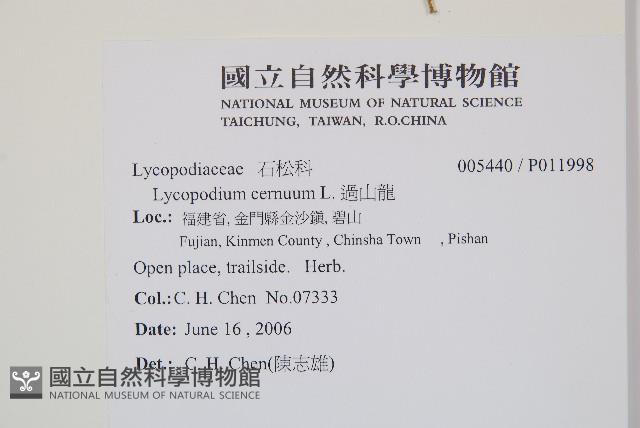 過山龍藏品圖，第2張