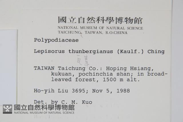 瓦葦藏品圖，第2張