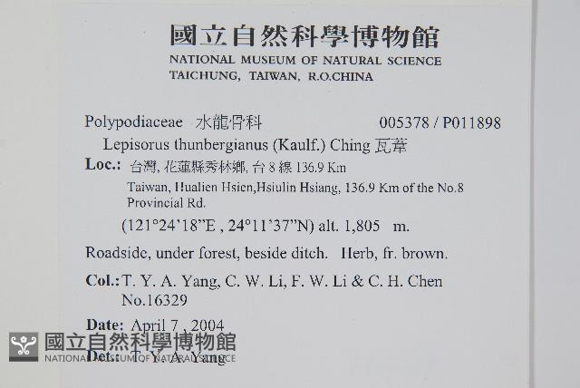 瓦葦藏品圖，第2張